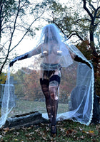 Lover’s Revenge Veil