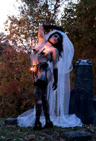Lover’s Revenge Veil