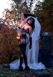 Lover’s Revenge Veil